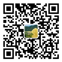 彩虹多多官网